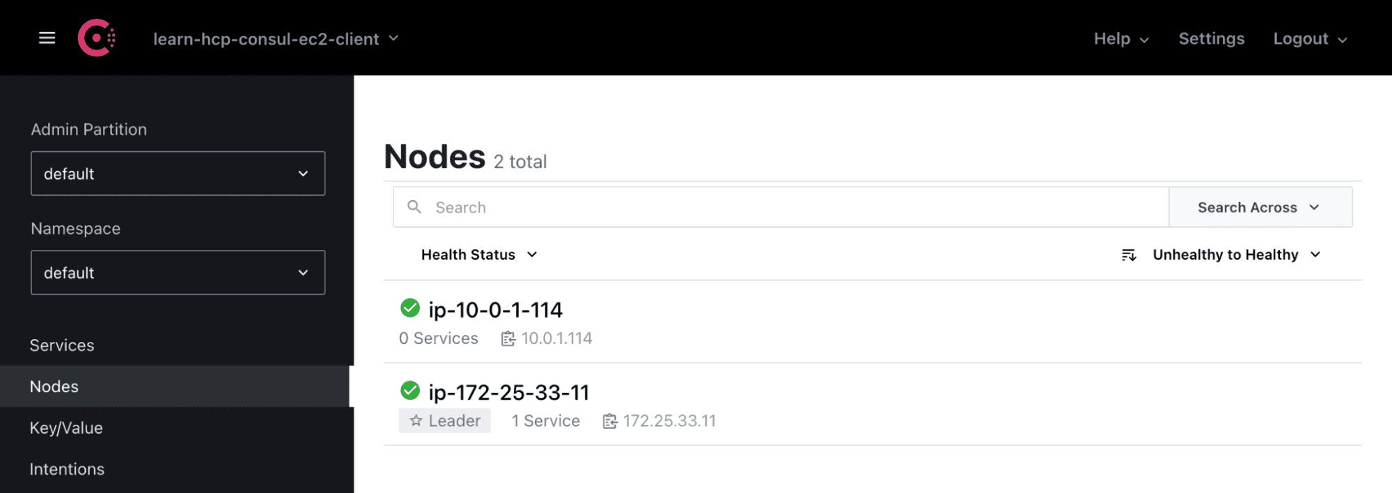 Consul dashboard showing the Consul client running on the EC2 instance